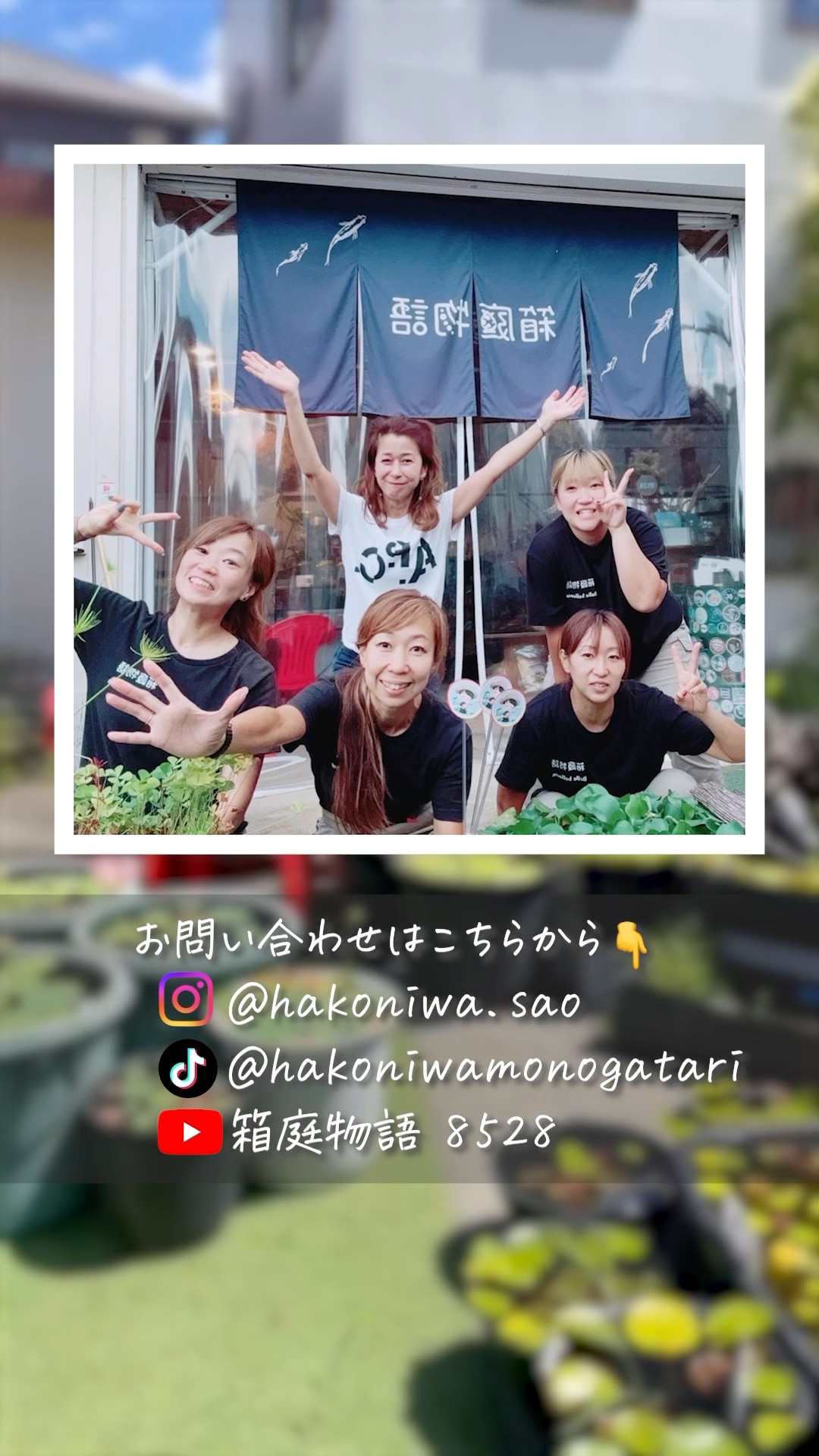 ショート動画